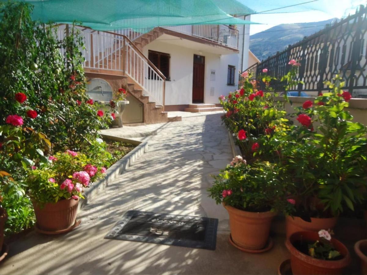 Cheap House Near The Center Of The City Mostar Buitenkant foto